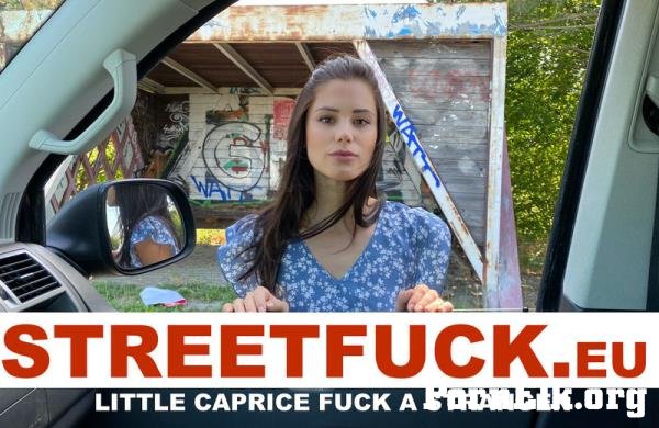 Little Caprice - STREETFUCK fuck a stranger [SD 474p]