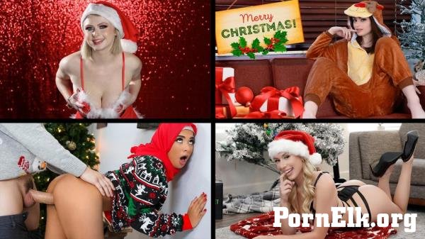 Reese Robbins, Carrie Sage, Babi Star, Amber Summer, Asia Lee - Hottest Winter Time Babes [FullHD 1080p]