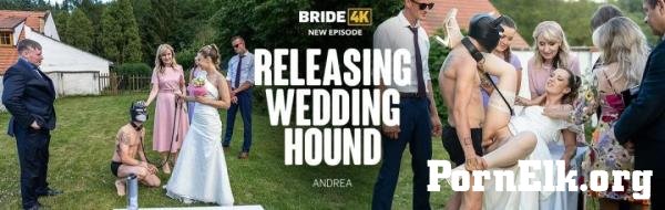 Andrea - Releasing Wedding Hound [FullHD 1080p]