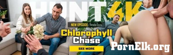 Amalia Davis - Chlorophyll Chase [FullHD 1080p]