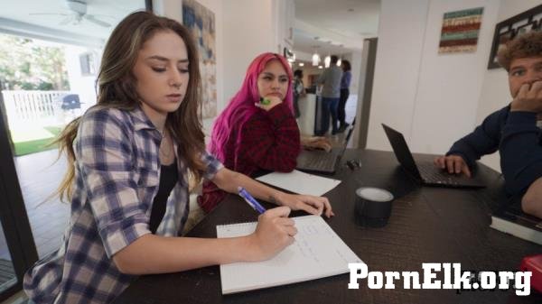 Daisy Fox, Nicky Rebel - Study Group Fucking [FullHD 1080p]