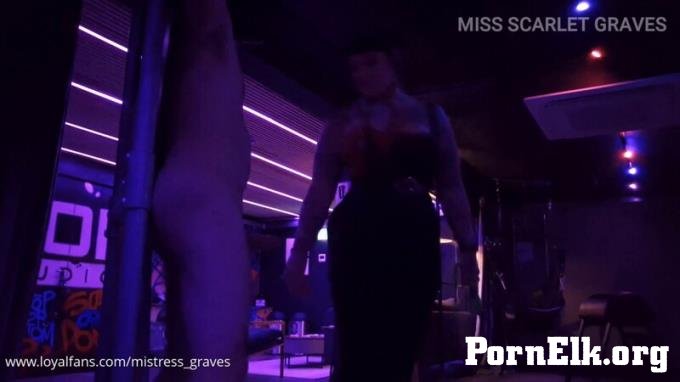 Miss Scarlet Graves - A Fly On The Wall - Cbt With Mutt [FullHD 1920P]