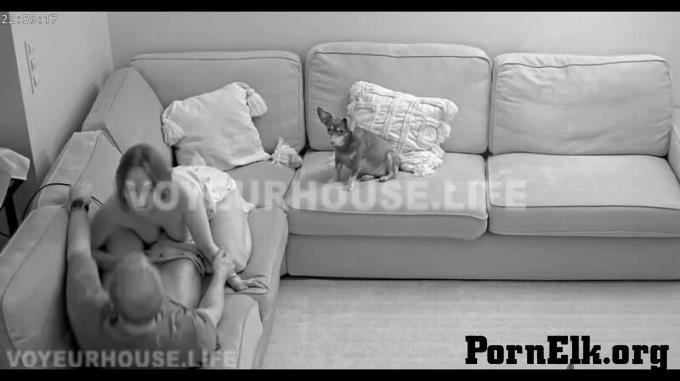 Reallifecam - Leora Suck And Make Handjot To Paul On Sofa 04.09.2025 [HD 720P]