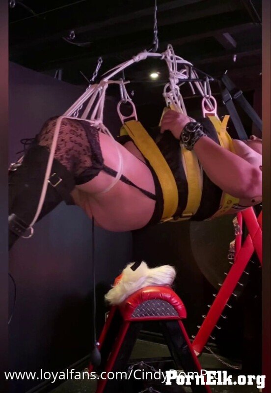 Mistress Cindy - Well filled Suspension [SD 950P]