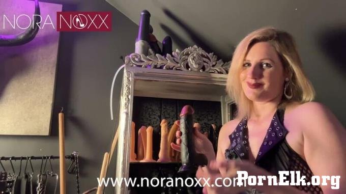 MyDirtyHobby: NoraNoxx - Du Hast Keinen Schwanz Sondern Einen Mini-shrimp [FullHD 1080P]