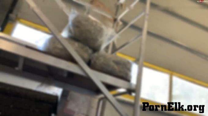 MyDirtyHobby: SteffiBlond - Baumarkt sauerei - Was passt besser rein Pinsel oder Zollstock Erstm... [FullHD 1080P]