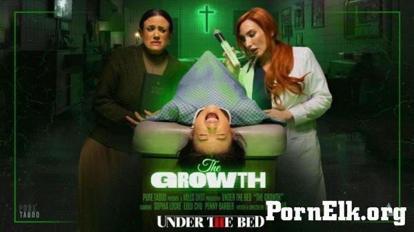 Lulu Chu, Penny Barber, Sophia Locke - The Growth [FullHD 1080p]