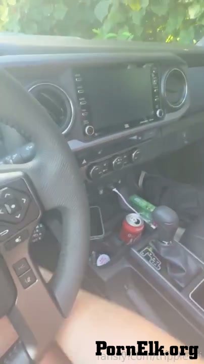 Trippie Bri Car Sex With Door Dasher [SD 404P]