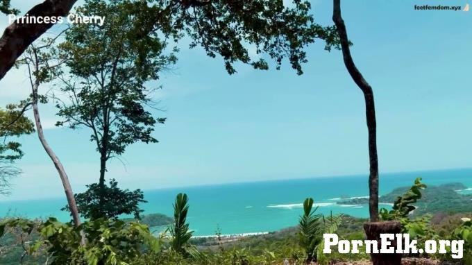 Prrincess Cherry - Vaca Cuck Cleanup [FullHD 1080P]