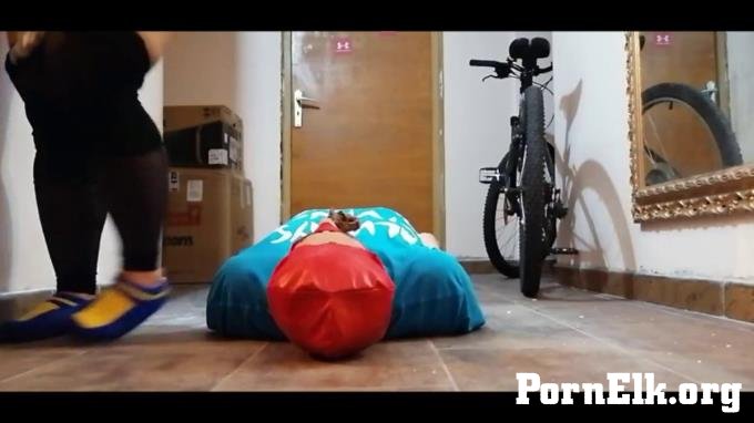 - Pig sent home after stroking with brown  [SD 768]