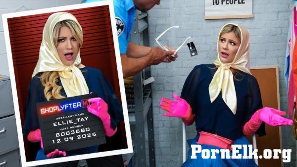 Ellie Tay - Case No. 8003680 - Busty Thief Sucks Her Way Out of Trouble [FullHD 1080p]