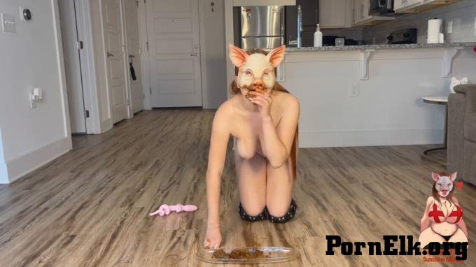 - GingerCris � Piglet Domestication: S1E1 Shit Eating Piglet  [HD 1280]