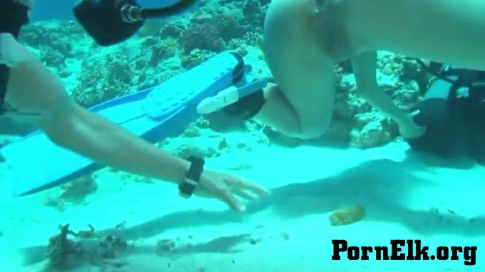 - Shitting in the Sea  [SD 768]