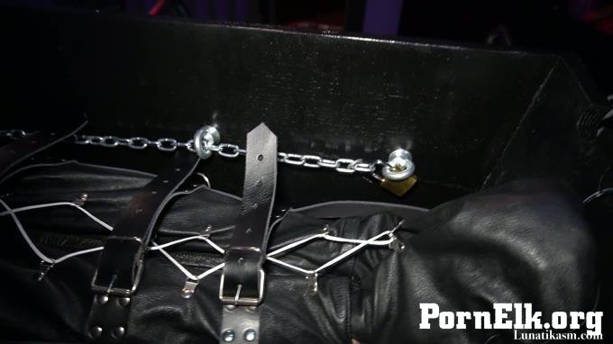 - Mistress Lunatika - Electric Play In A Coffin  [FullHD 1080]