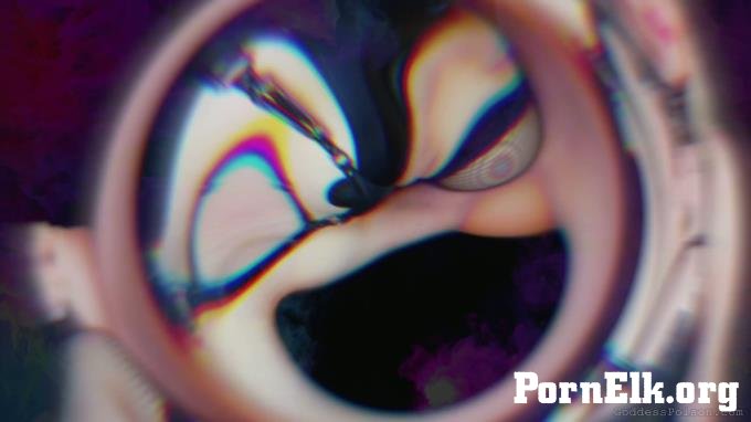 - IWantPoison - THE FIX - Gooning  [4K 2160]