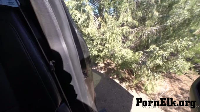 Luna Rose Hottie Stranger Stuck On Trucks Window So I Fucked Her  [FullHD 1080]