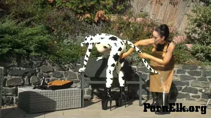 Queens of Kink - Fetish Liza and Natalie Goth TV - Latex cow inspected and fucked stage 1  [FullHD 1080]