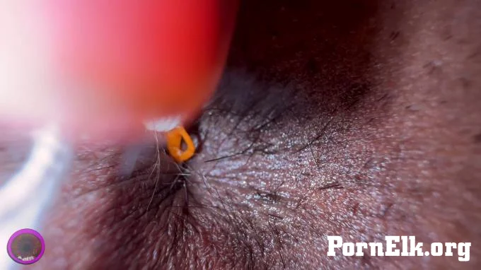 The Cirilla Emporium - Giantess Cirilla Asshole Landlord  [4K 2160]