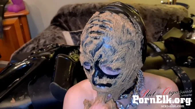 SlutOrgasma  Extreme scat smearing and swallowing  [FullHD 1920]