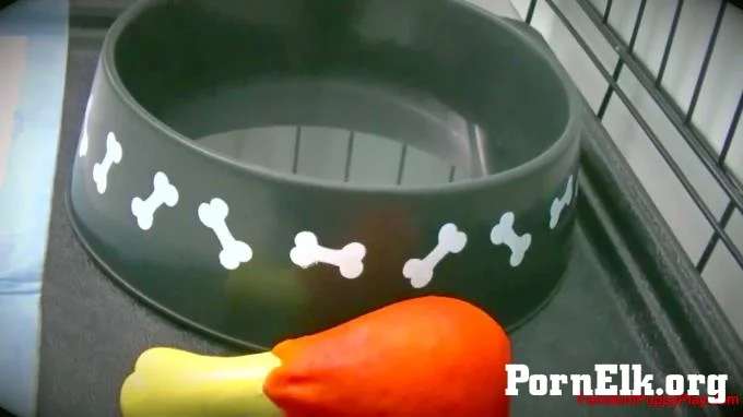 Femdom Puppy Play - Lexi Luna Prepares The For Her Big Date  [FullHD 1080]