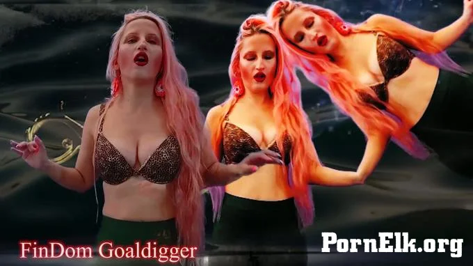 FinDom Goaldigger - Your arousal enlarging  [FullHD 1080]