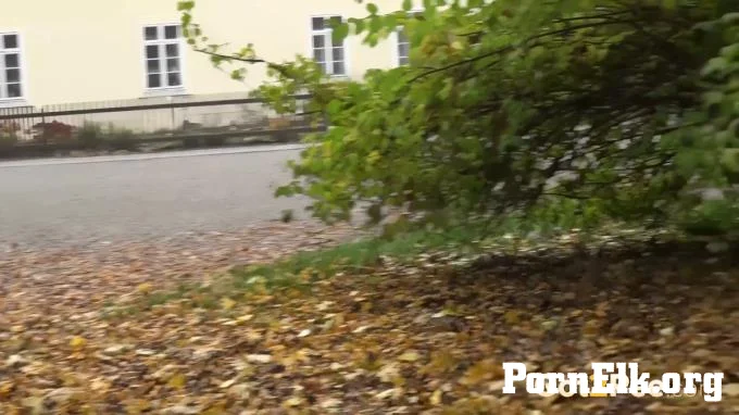 Public Park  [FullHD 1920]