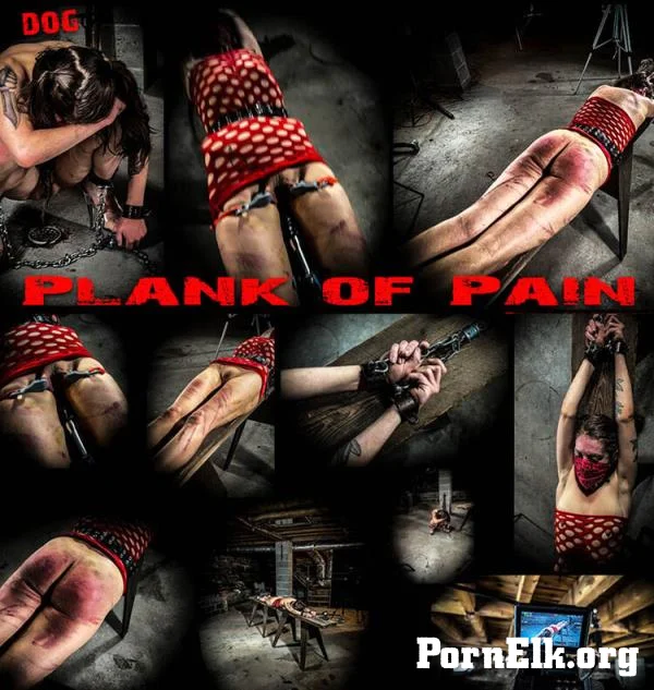 Dog - Plank Of Pain [FullHD 1080p]