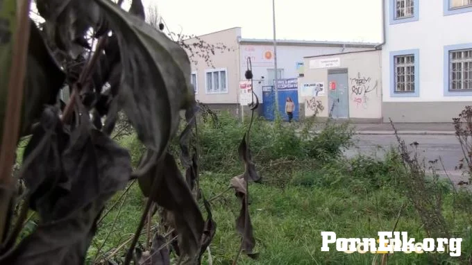 Public Streams  [FullHD 1080]