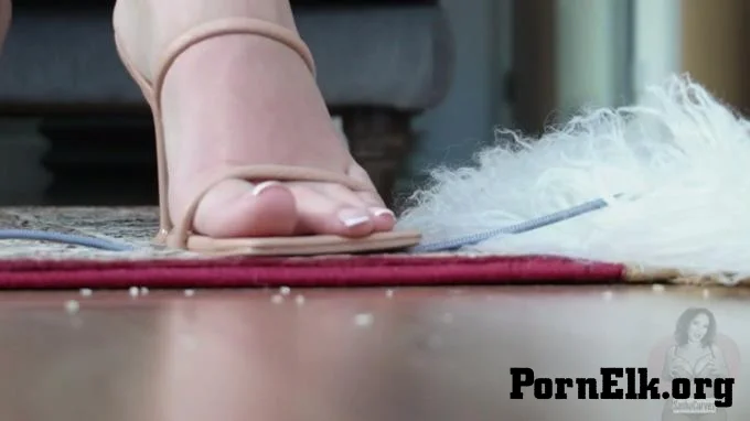 SashaCurves - Just A Little Party  [FullHD 1080]