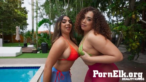 Willow Ryder, Gigi Lysette, Dickdealer Don - Battle Of The Booty [FullHD 1080p]