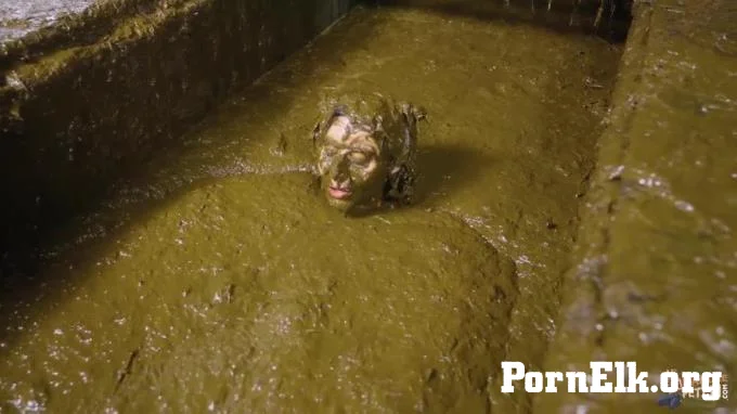Aliens In Cow Shit  [HD 720]