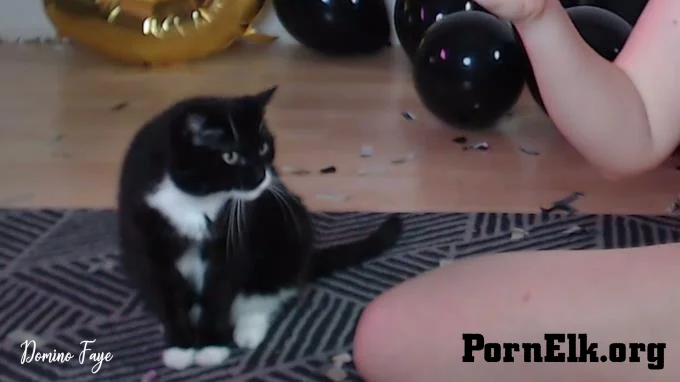 Domino Faye - 5 fucking years  [FullHD 1080]