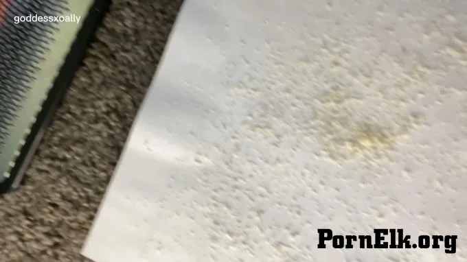 Goddess Ally Etana - Collect My Foot Dust In Your Mouth  [FullHD 1080]