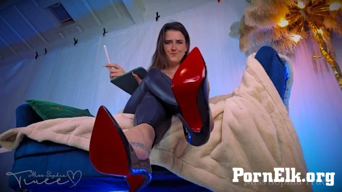 Miss Sophia Truee - D016's Reward - Your Financial Review - Sophia Truee ruthlessly dominates with Financial Domination and Heel Dangling  [FullHD 1080]