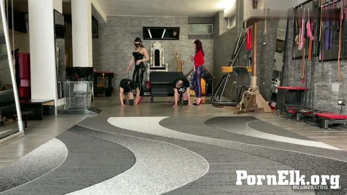 La Regina Dittatrice and Mistress Gaia - Turning My Slaves Into Horses  [FullHD 1080]