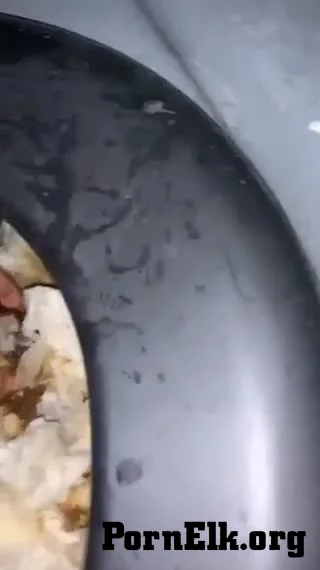 Portapottyqueen  First Portapotty Escapade  [SD 320]