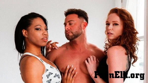 Dani Synclair, Autumn Orchid - SESSION Seth-Gamble, Dani Synclair, Autumn Orchid (2026-08-06) [FullHD 1080p]