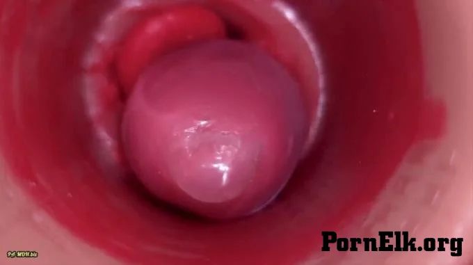 Ladybottox - Innerhalb Einer Camgirl Gebarmutterhals POV kamera in Der Vagina Mit ...  [FullHD 1080]