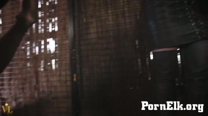 Vivienne l'Amour - CAGED BEAST TORMENT  [FullHD 1080]